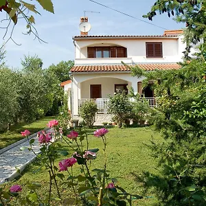Magnolia Tar-Vabriga